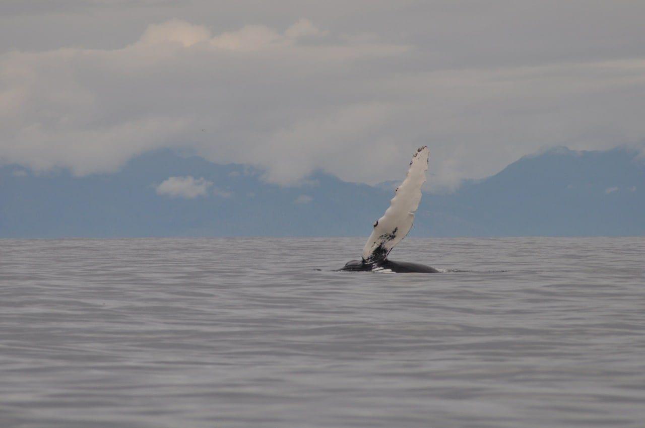 Nootka Sound - Nootka Wilderness Lodge